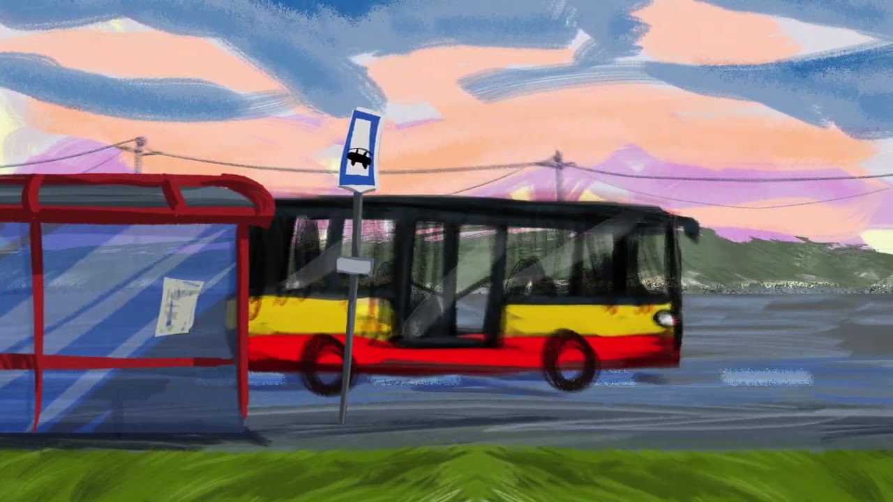 Video Image