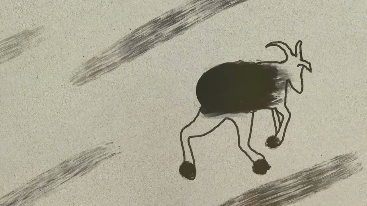 Video Image